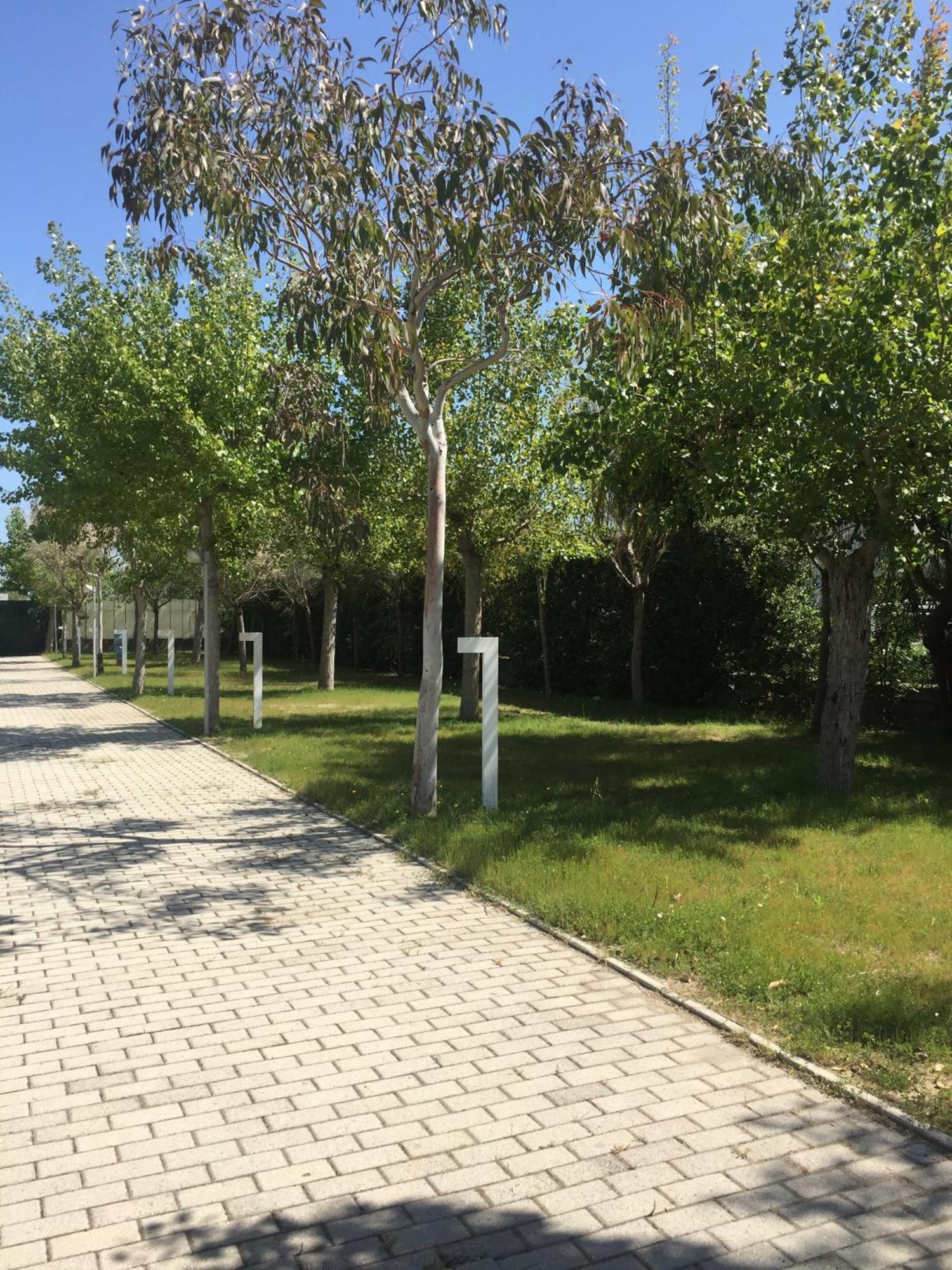 Camping & Residence Il Pioppeto Vasto Exteriör bild